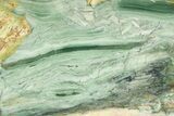 Gary Green Jasper (Larsonite) Bog Wood Slab - Oregon #299332-1